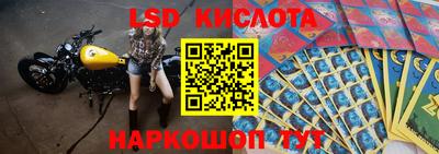 бошки Кандалакша