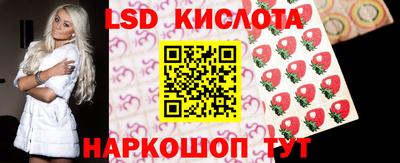 шишки Камышлов