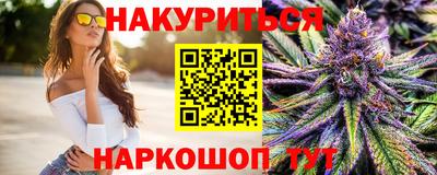 шишки Камышлов