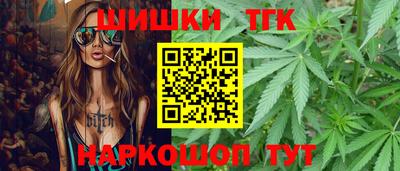 шишки Камышлов