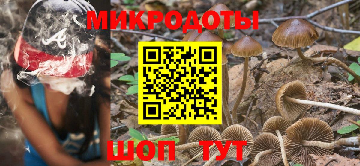 Ялуторовск  Псилоцибиновые грибы мухоморы  Псилоцибиновые грибы Magic Shrooms  Вход с VPN 